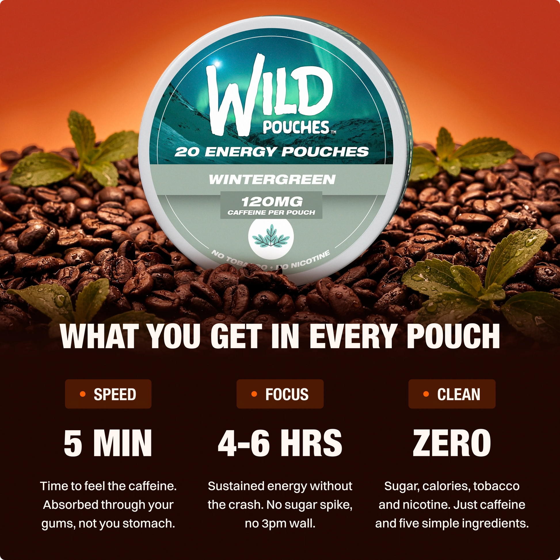 Wintergreen 120mg